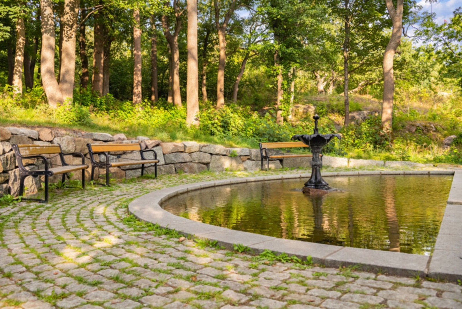 Flotte Preståsen! Galleribilde