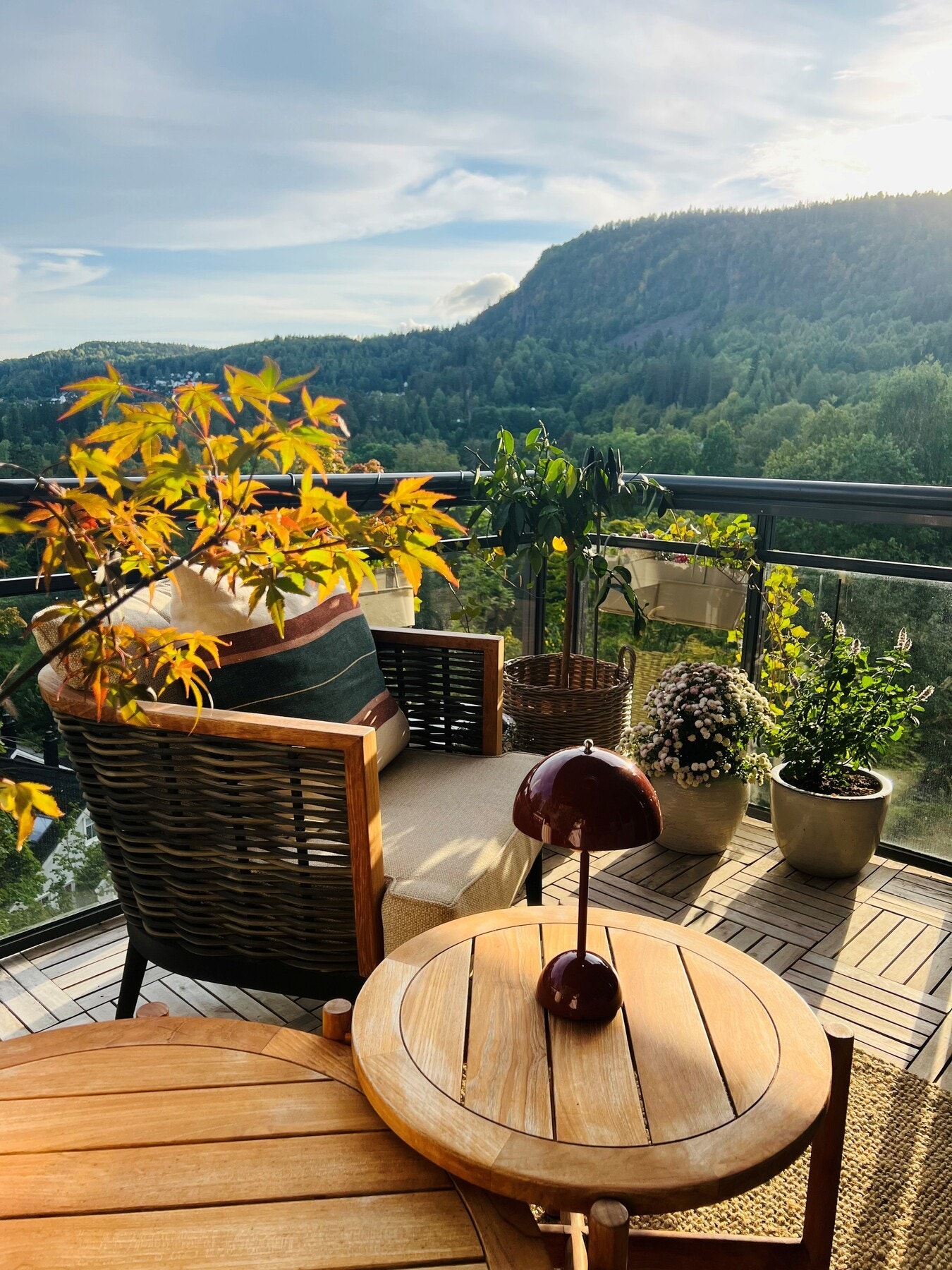 Bilde tatt av selger Galleribilde