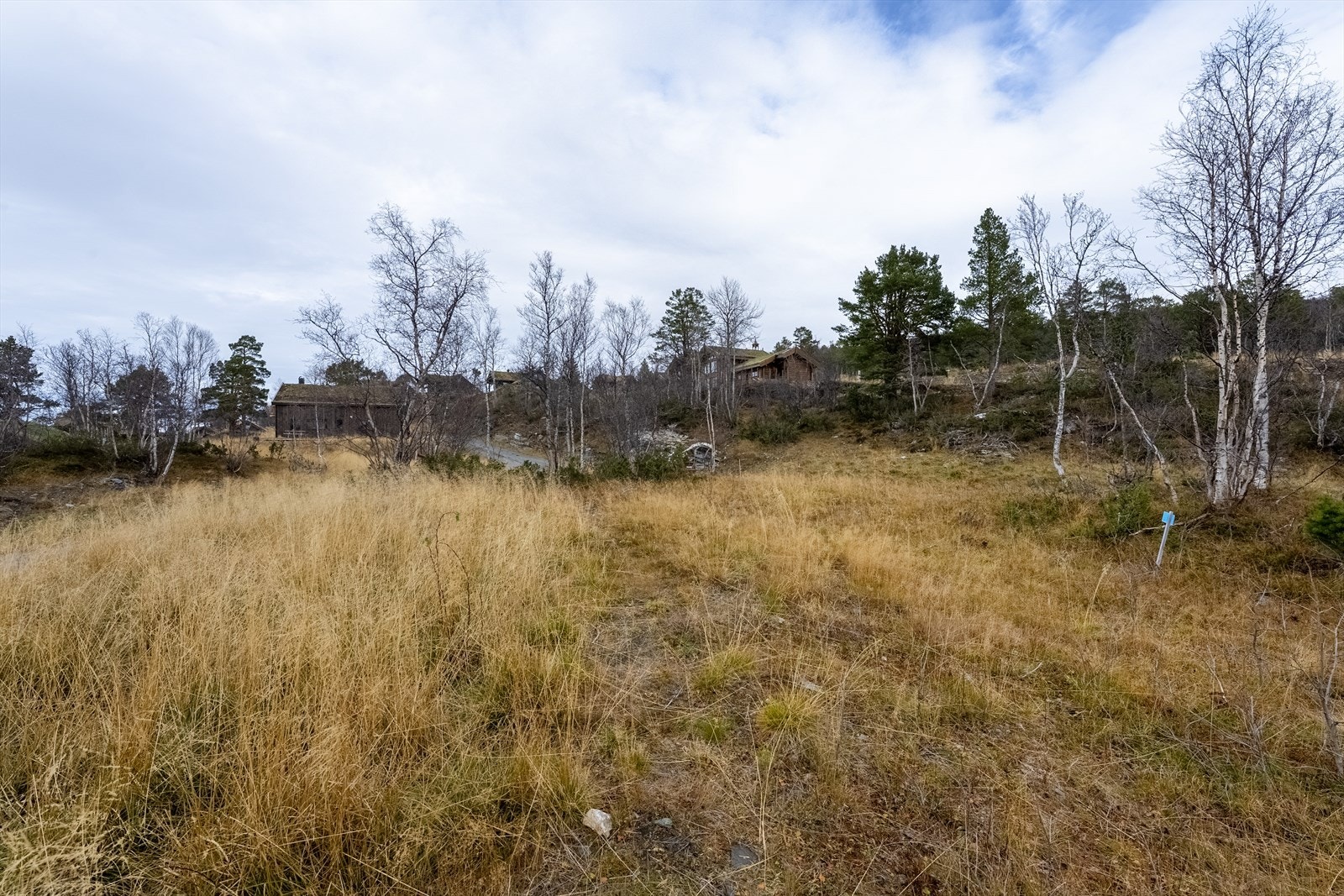 Tomt (bilde tatt mot nord) Galleribilde