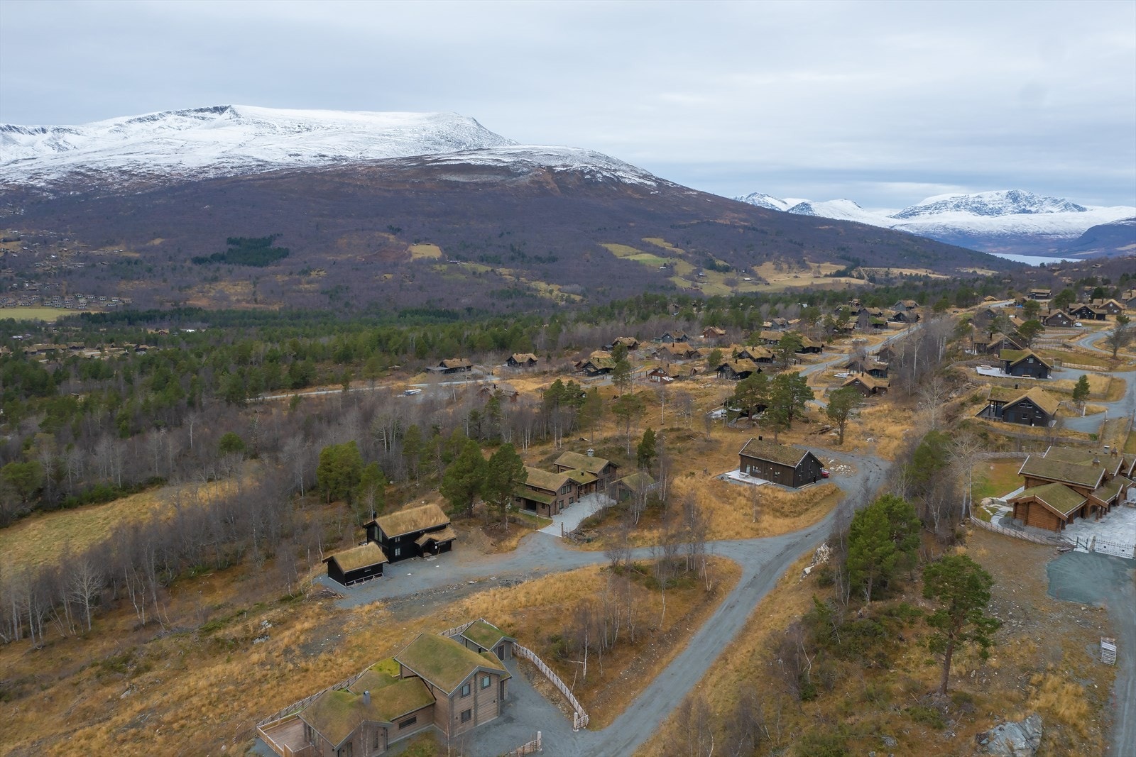 Oversiktsbilde Galleribilde