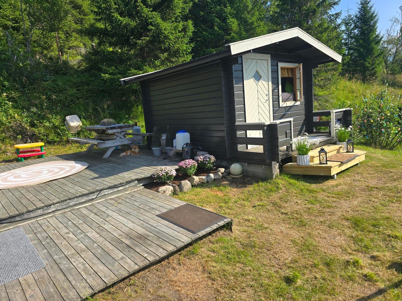 Privat sommerbilde. Galleribilde