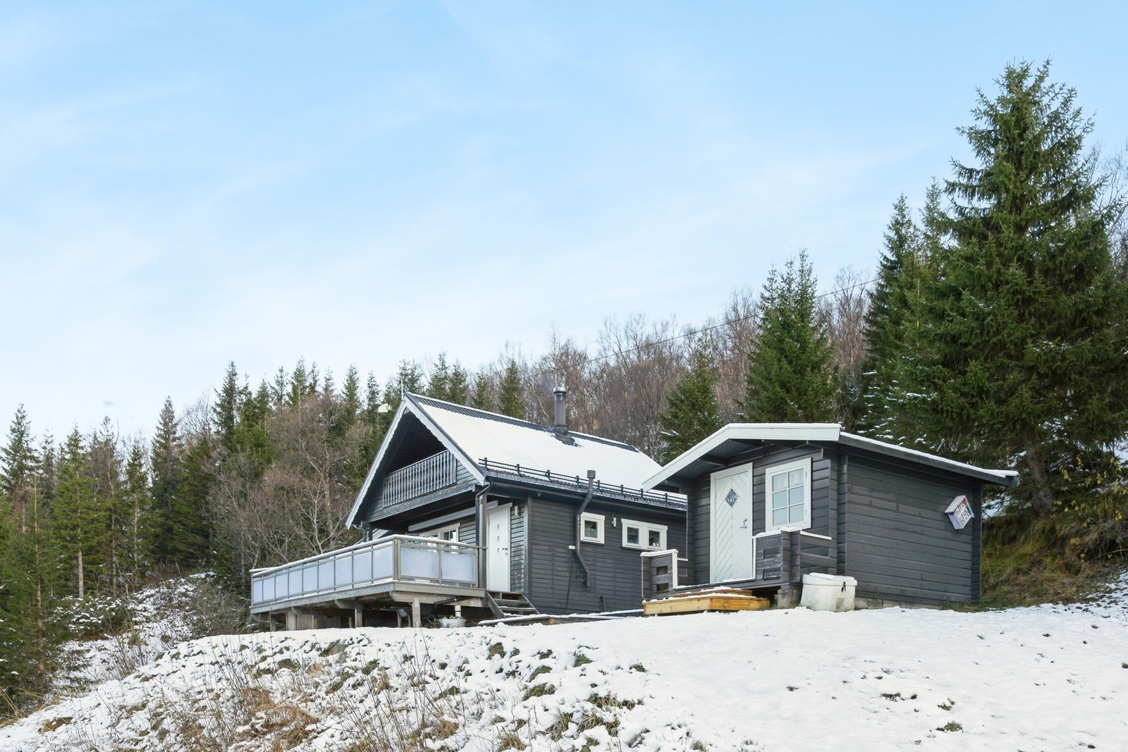 Uteområdet rundt hytten er flatt med naturen rett bak. Foto: EFKT. Galleribilde