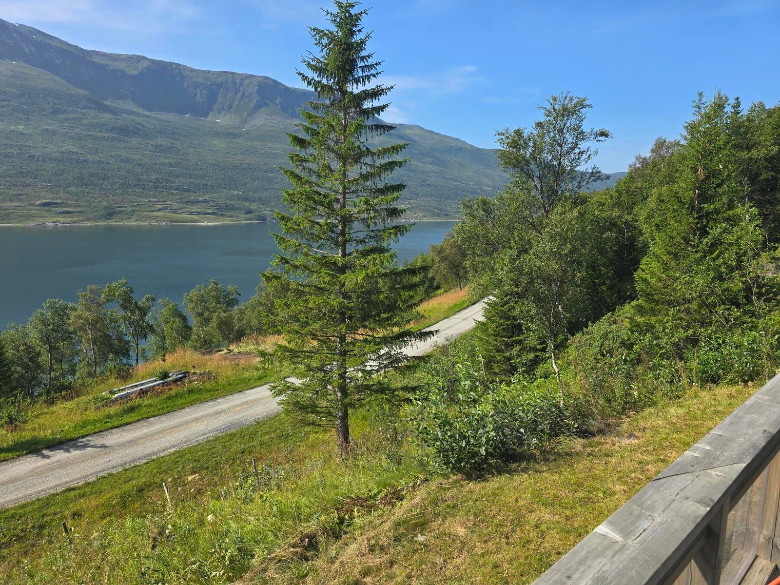 Privat sommerbilde av utsikten. Galleribilde