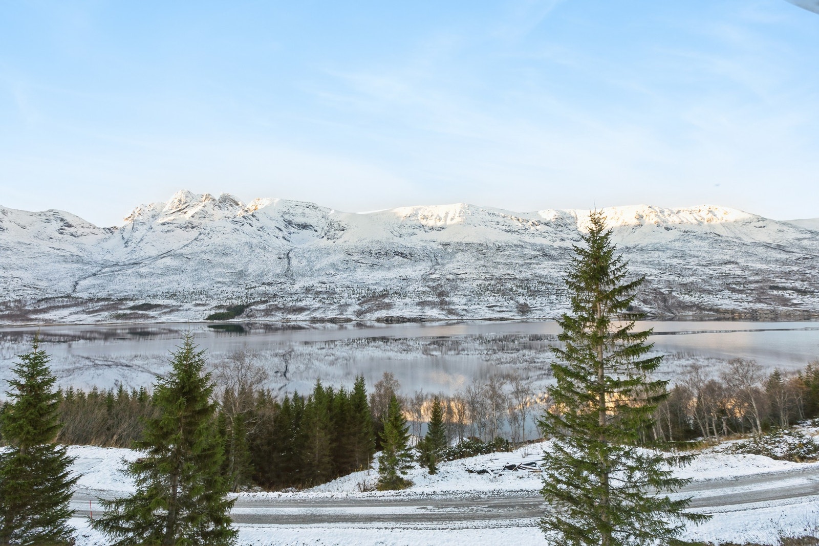 Skjønner... Galleribilde