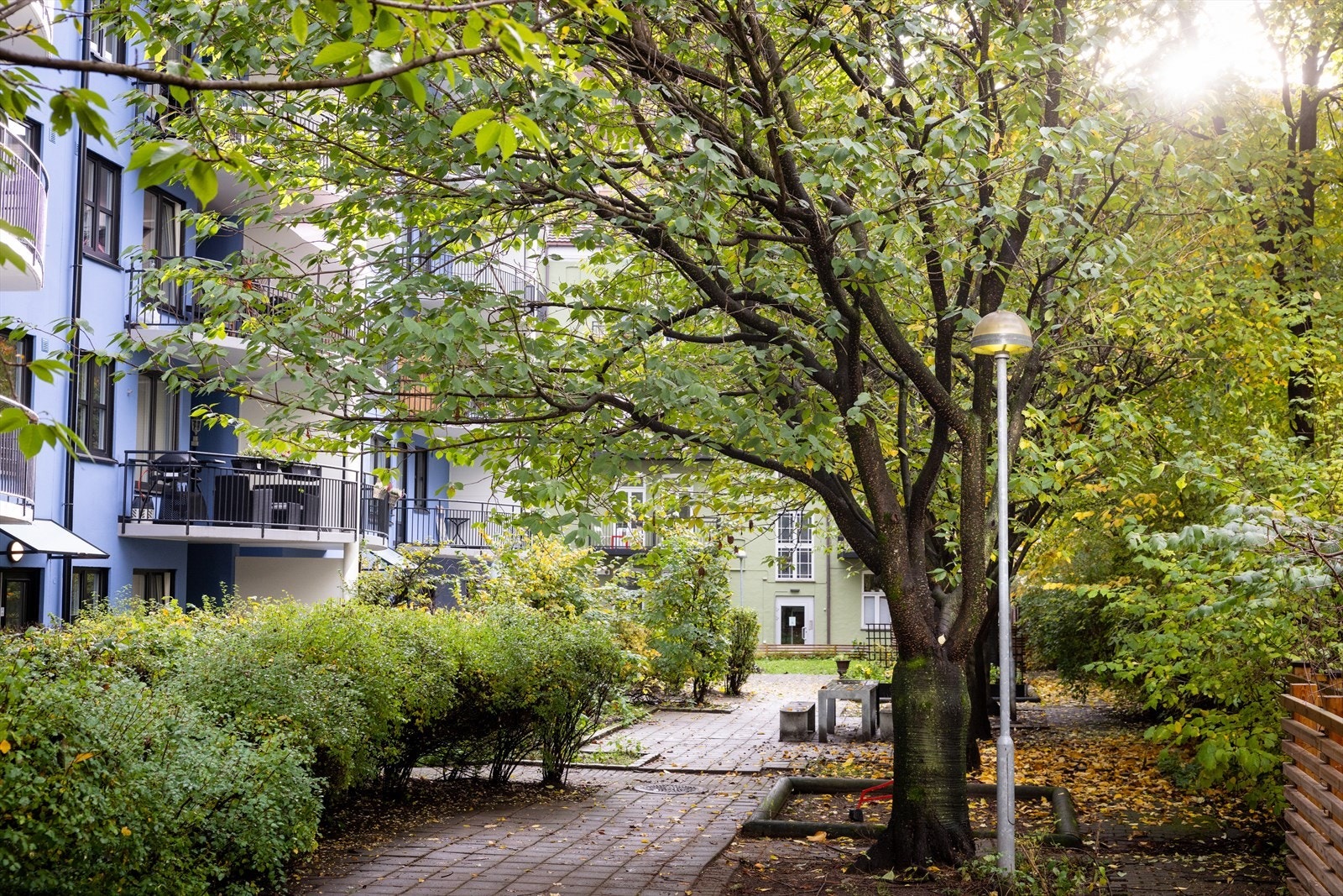 Flotte fellesområder opparbeidet med beplatning og sittegrupper. Galleribilde