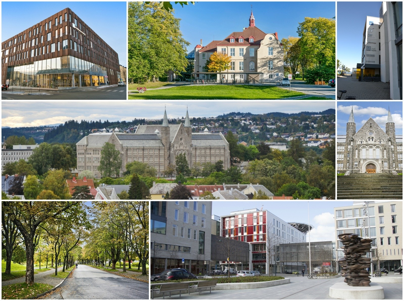 Det er sykkelavstand til populære studiesteder som NTNU Gløshaugen, Handelshøyskolen, ST.Olavs, BI og Dronning Maud m.m. Galleribilde
