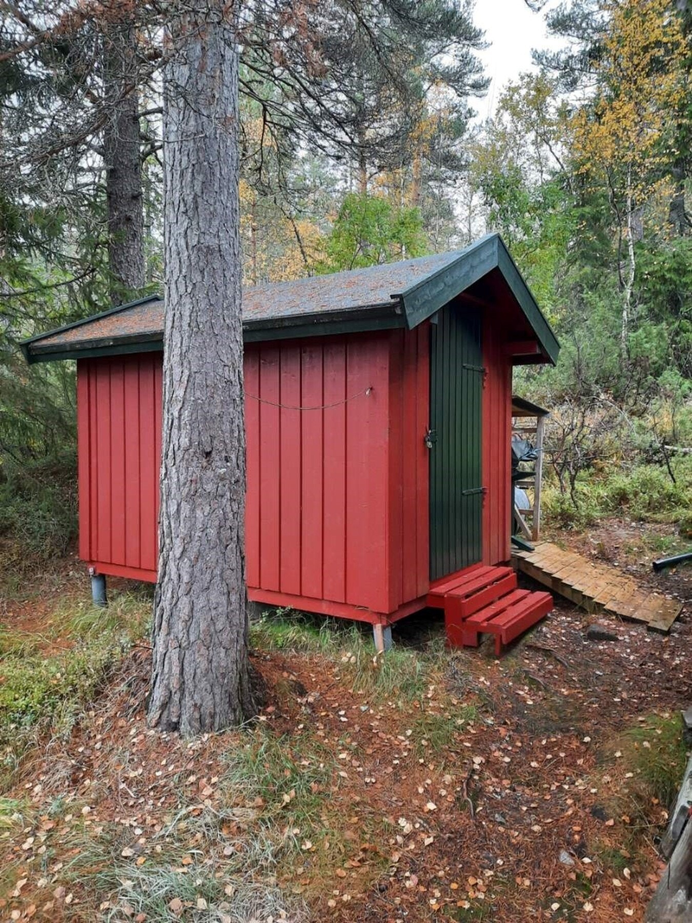 Bilde av uthus/redskapsbod (selgers bilde) Galleribilde