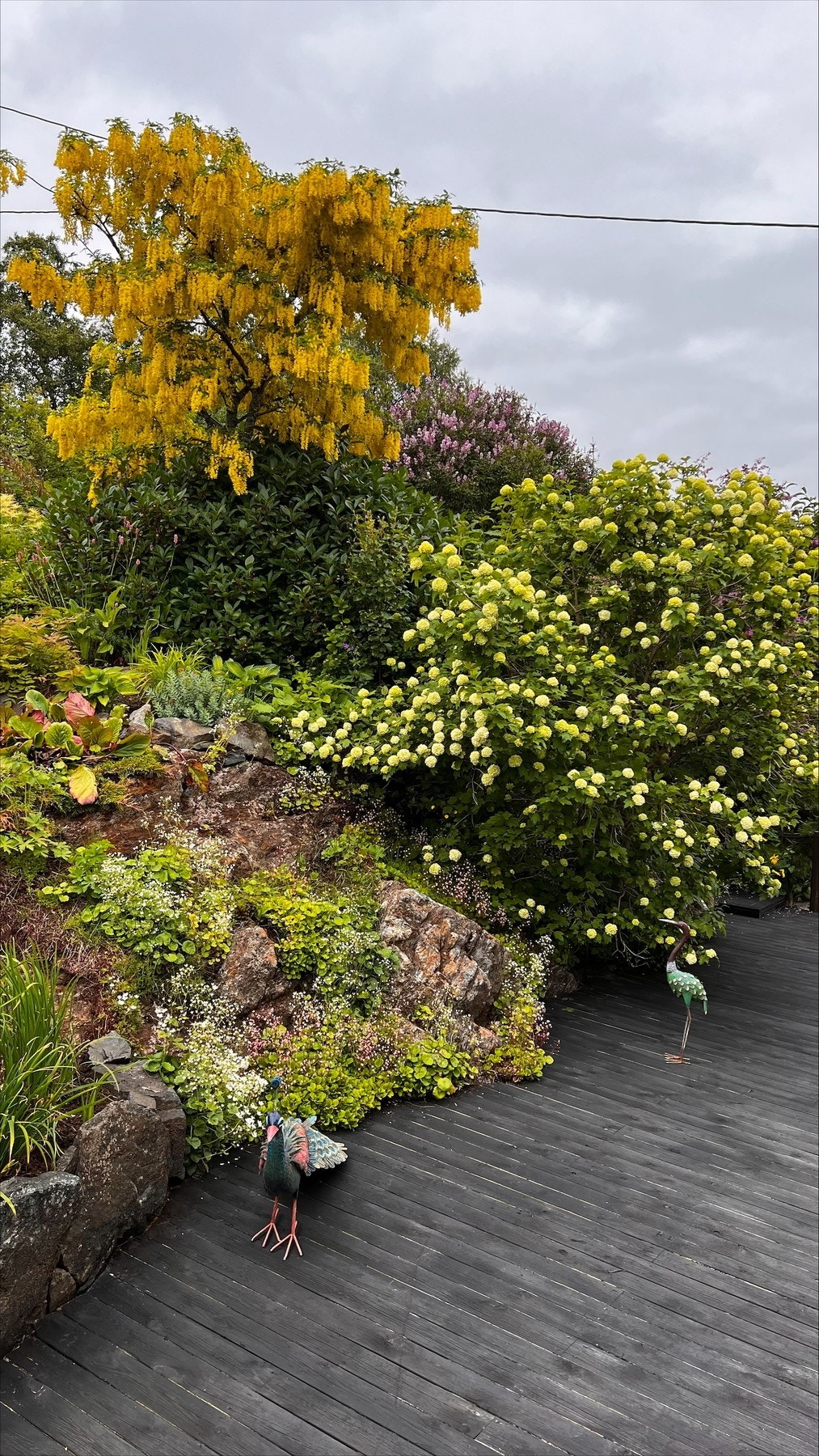 Bilder tatt av selger. Galleribilde