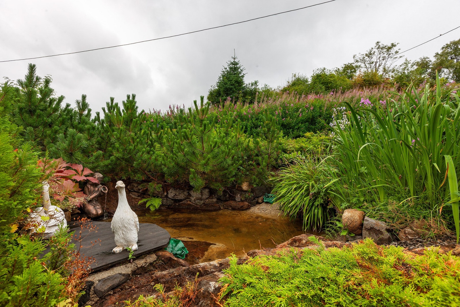 Hagen er meget pent opparbeidet med frodige planter, og har en sjarmerende vanndam som gir ekstra liv til hagen. Galleribilde
