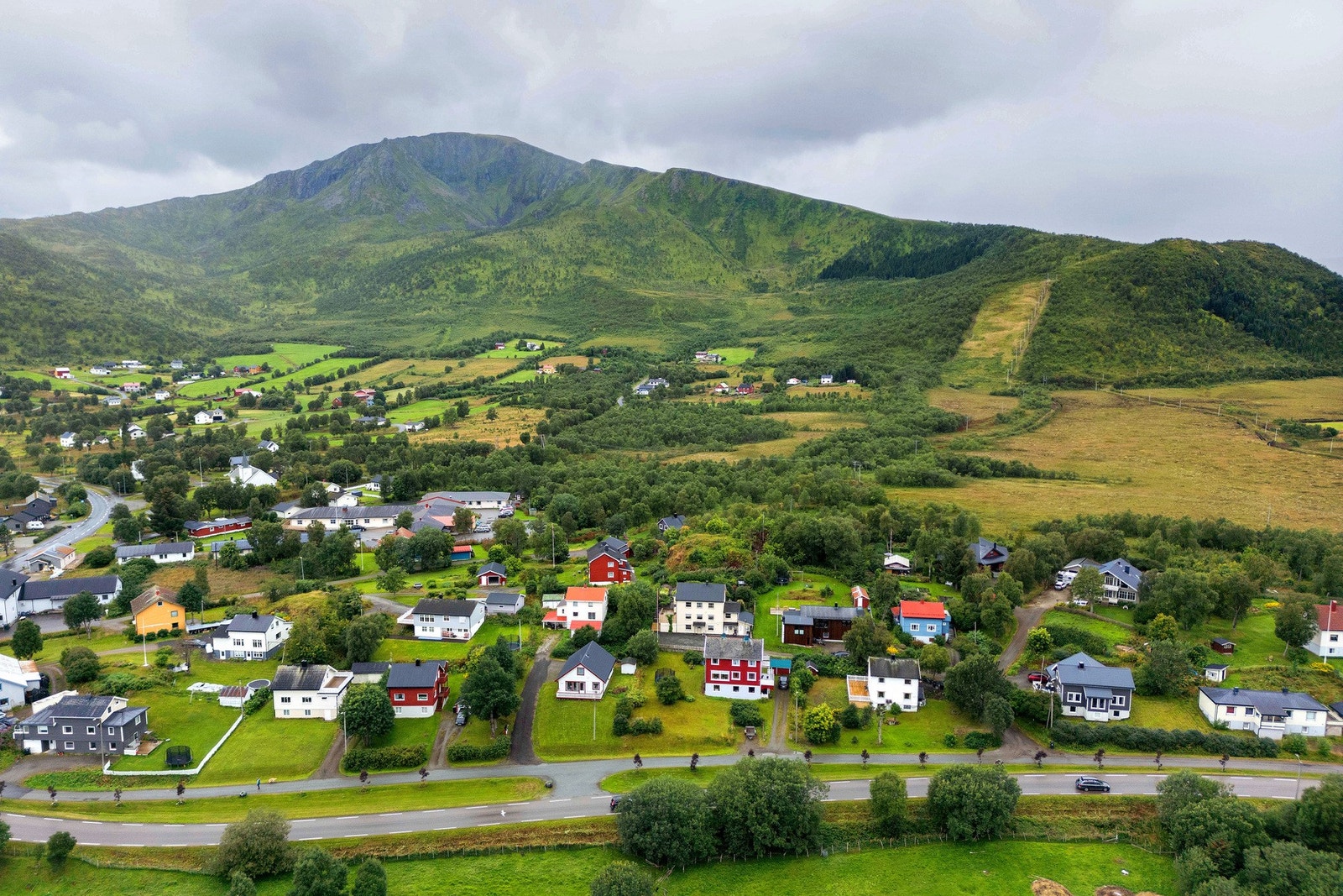Flotte turmuligheter i marka og ned i fjæra. Galleribilde