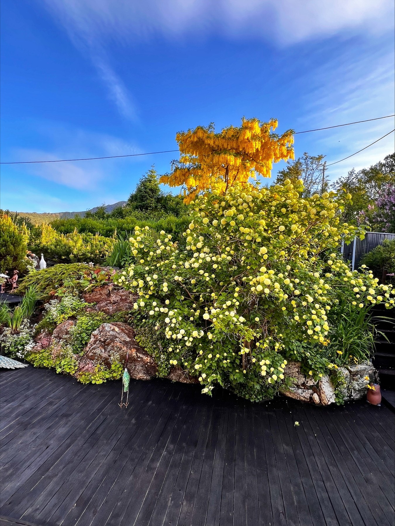 Bilder tatt av selger. Galleribilde