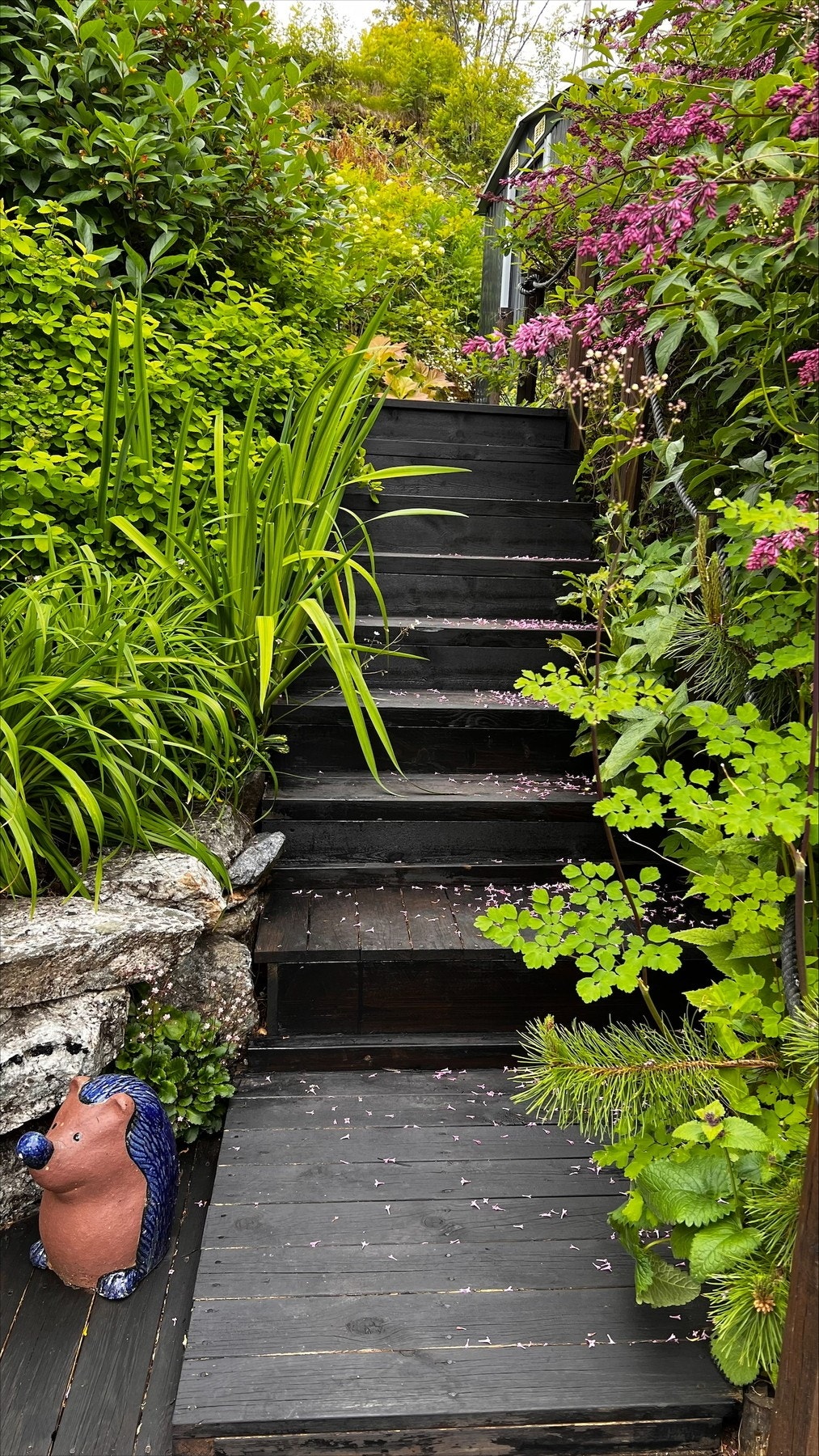 Bilder tatt av selger. Galleribilde