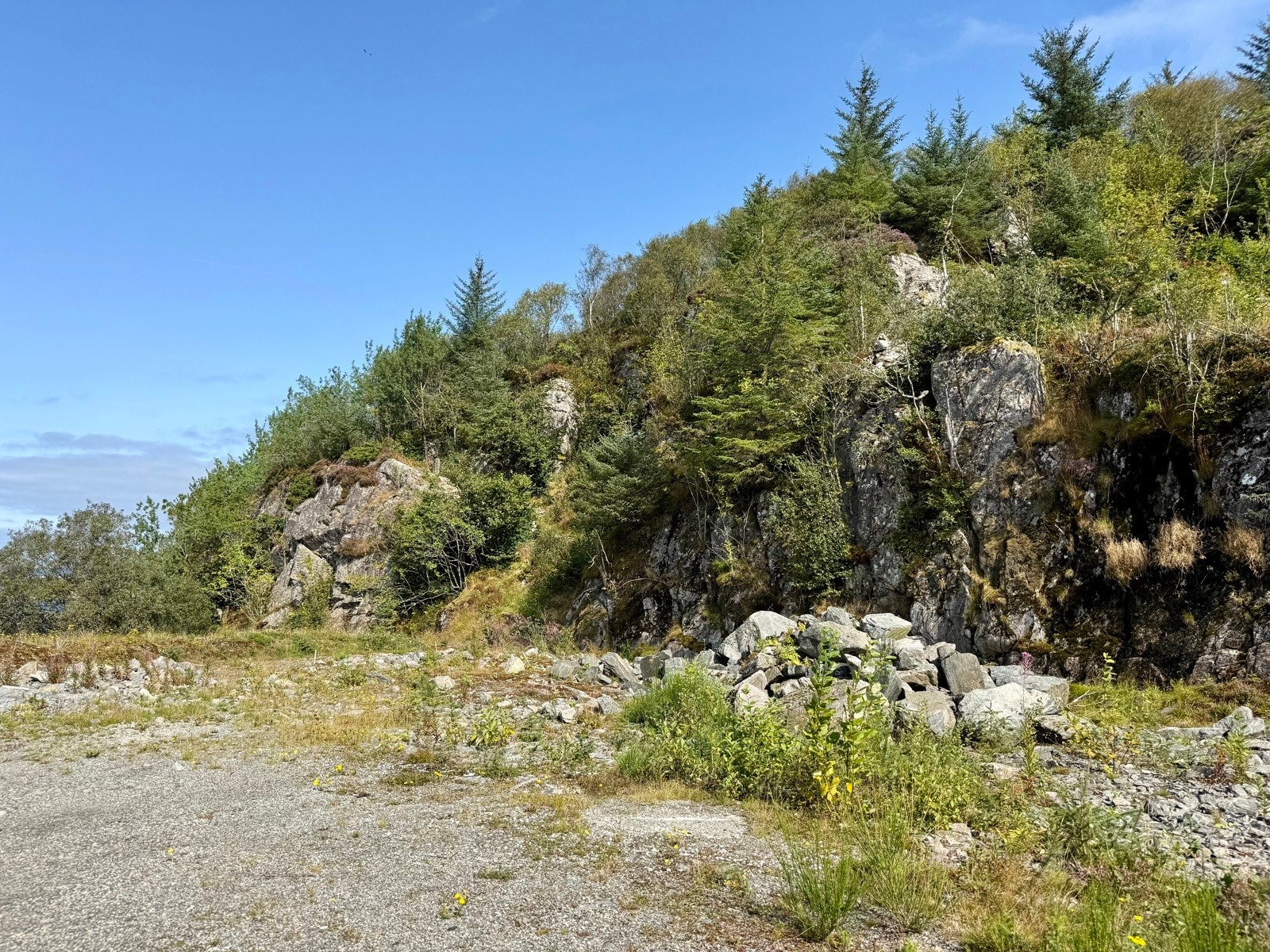 IMG_8526 Galleribilde