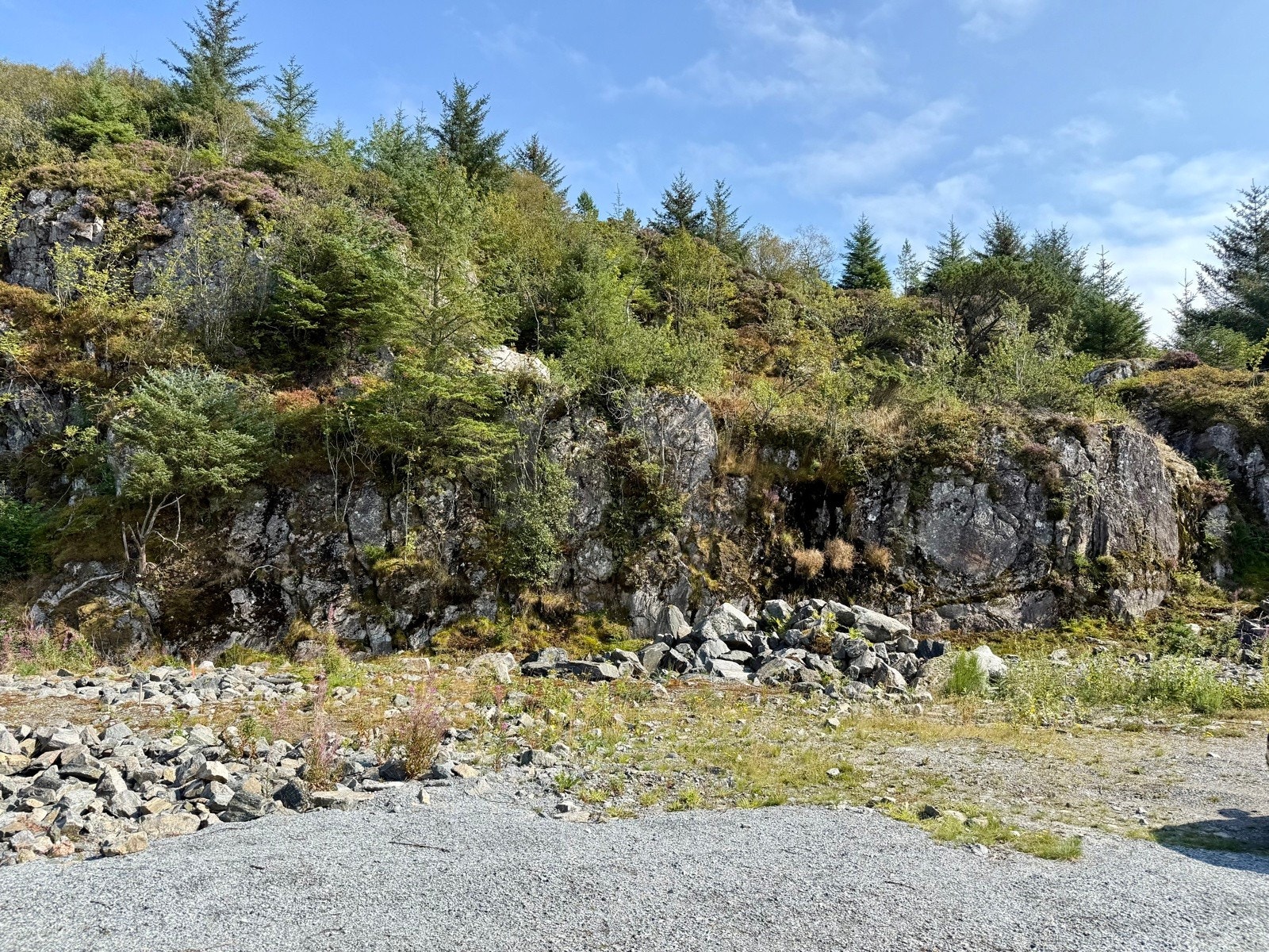 IMG_8536 Galleribilde