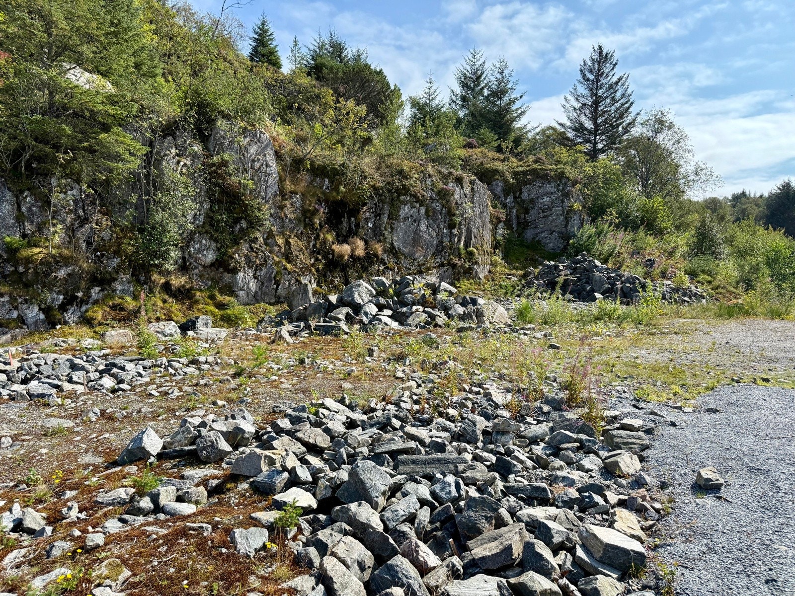 IMG_8535 Galleribilde