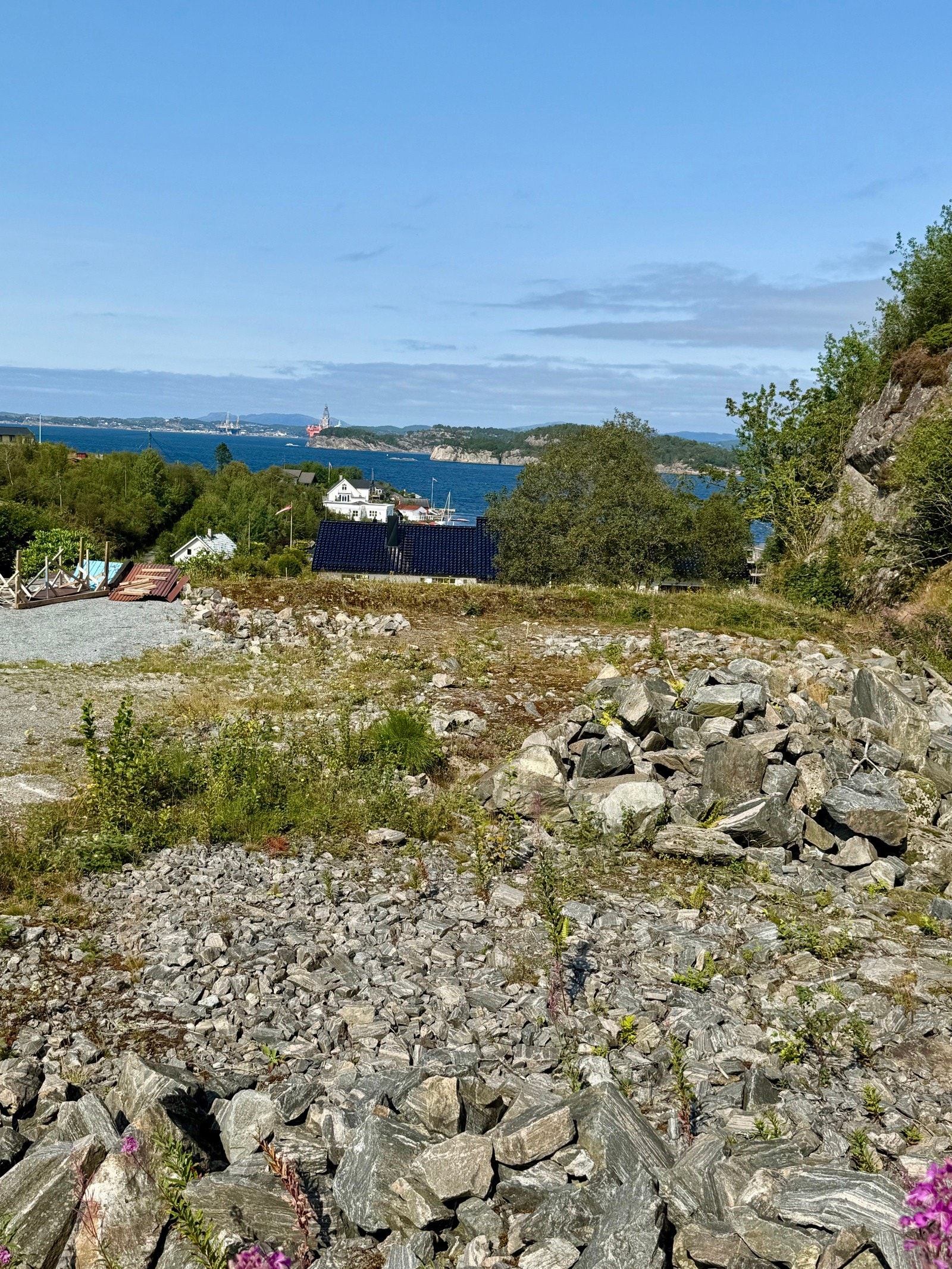 IMG_8529 Galleribilde