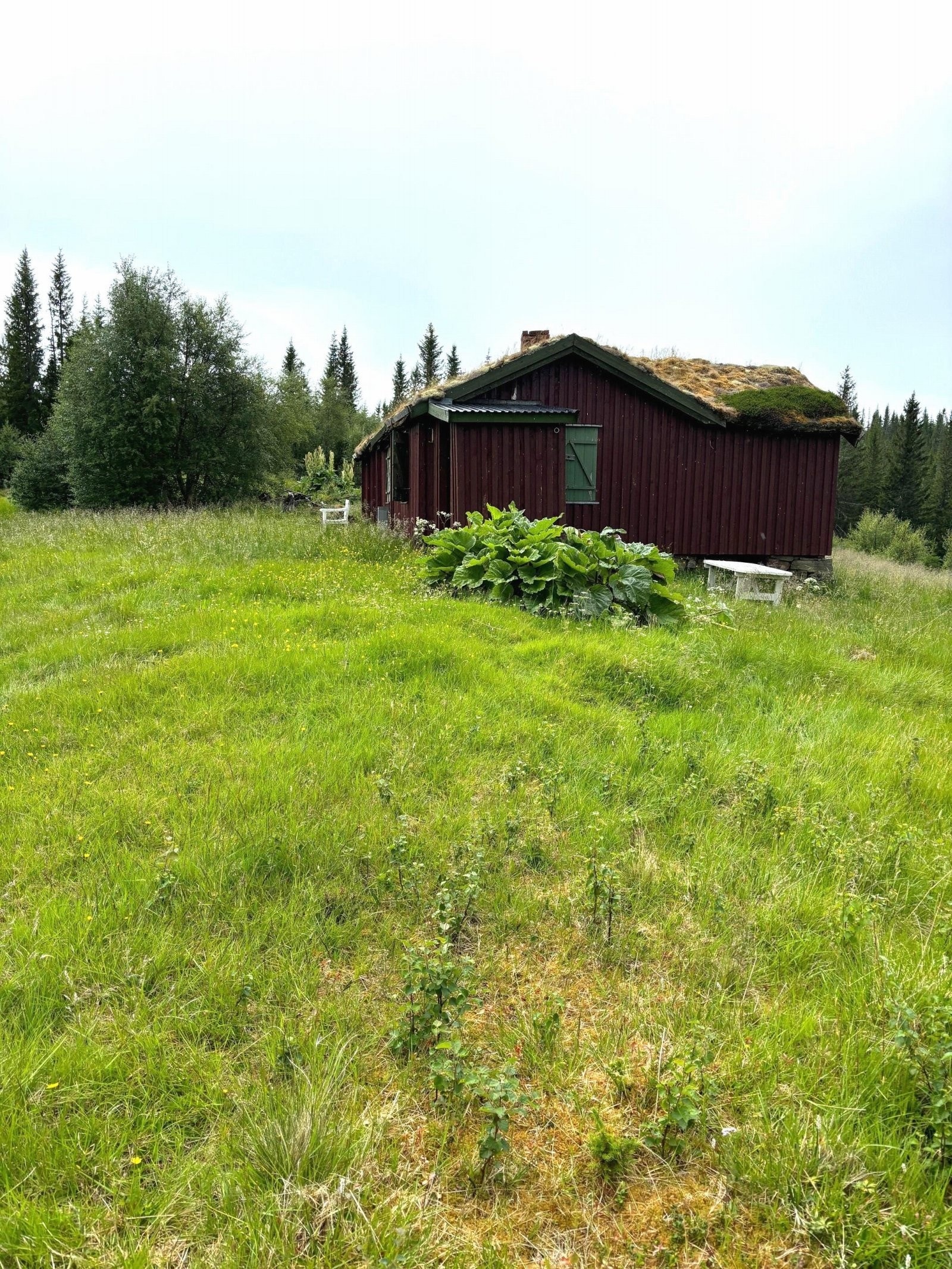 Setervoll Galleribilde