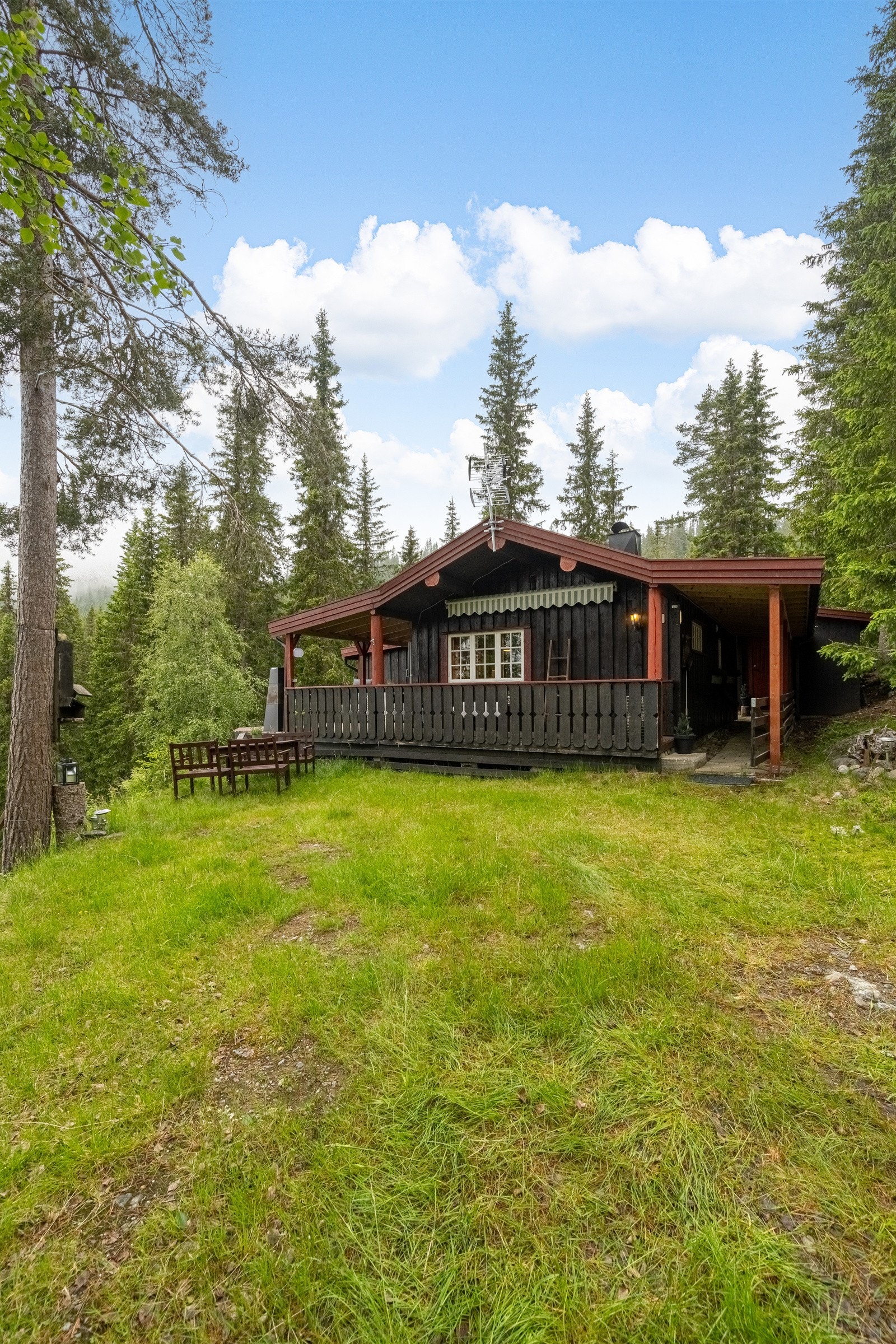 Tomten er på 991,9 m2 Galleribilde