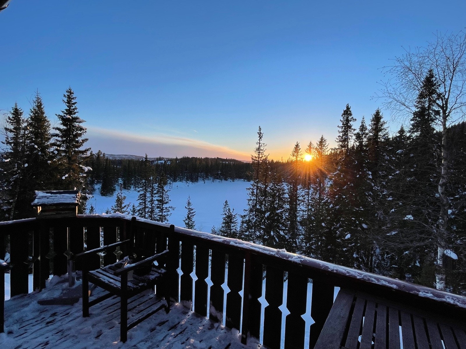Vinter Galleribilde