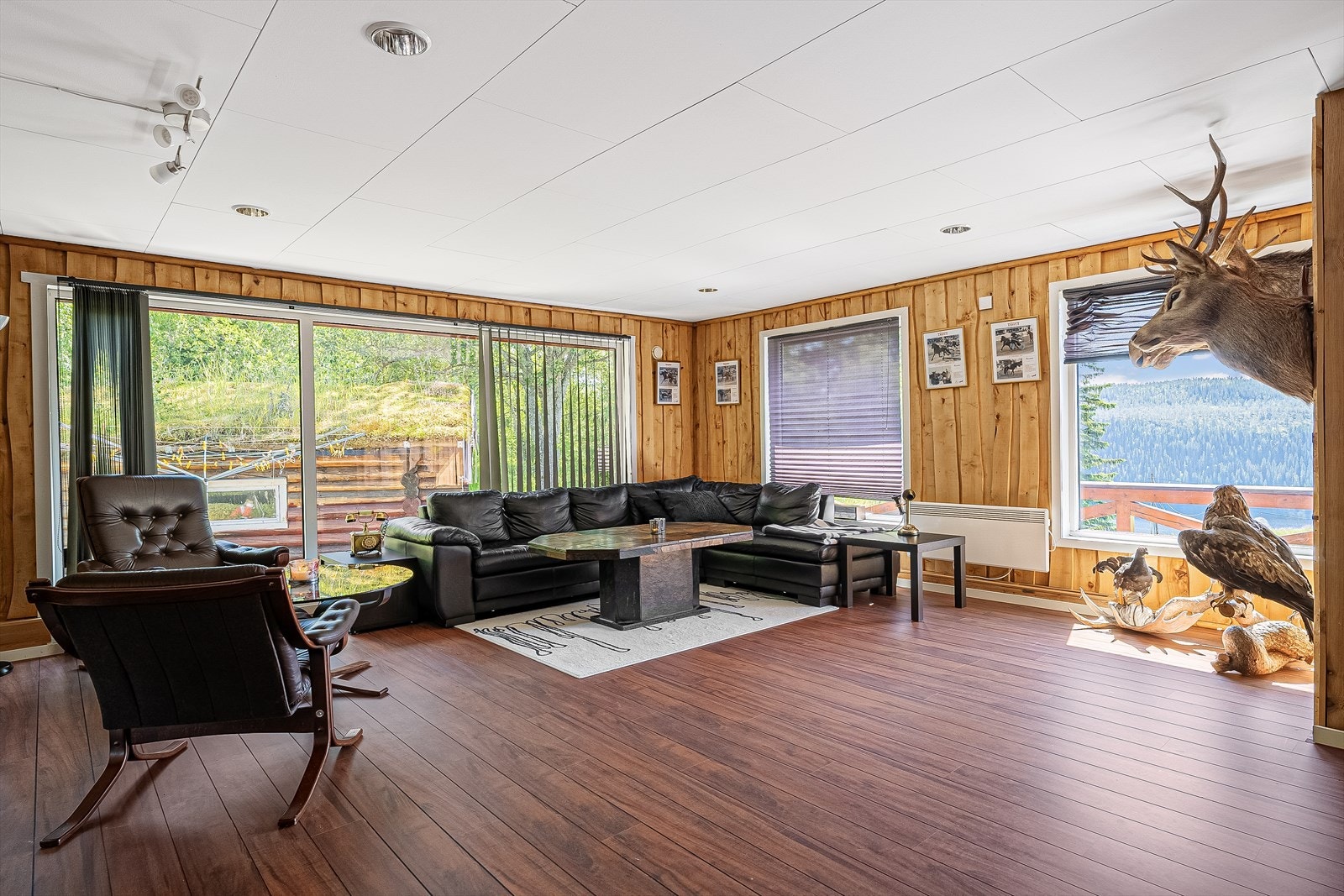 Romslig oppholdsrom Galleribilde