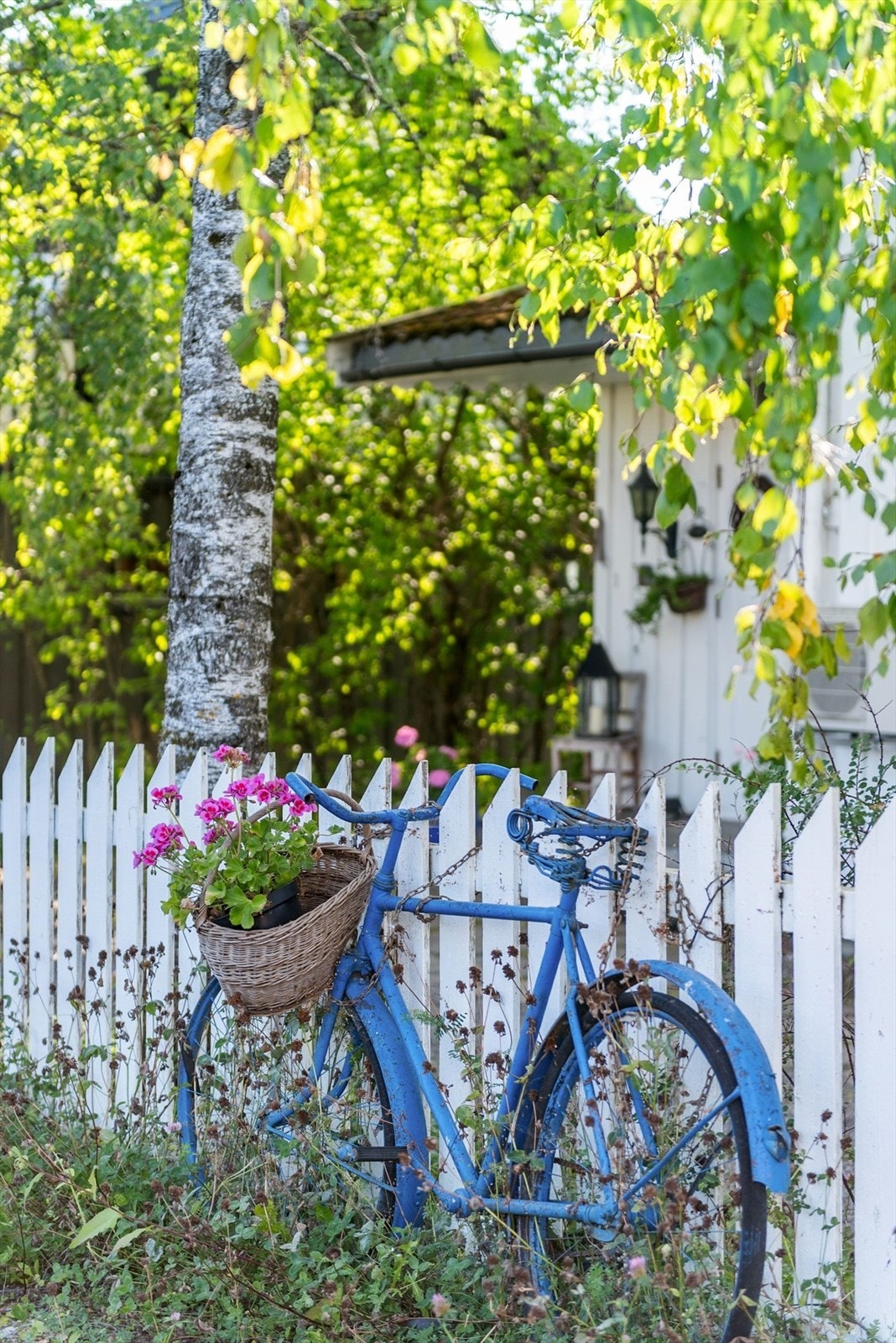 I vakre omgivelser. Galleribilde