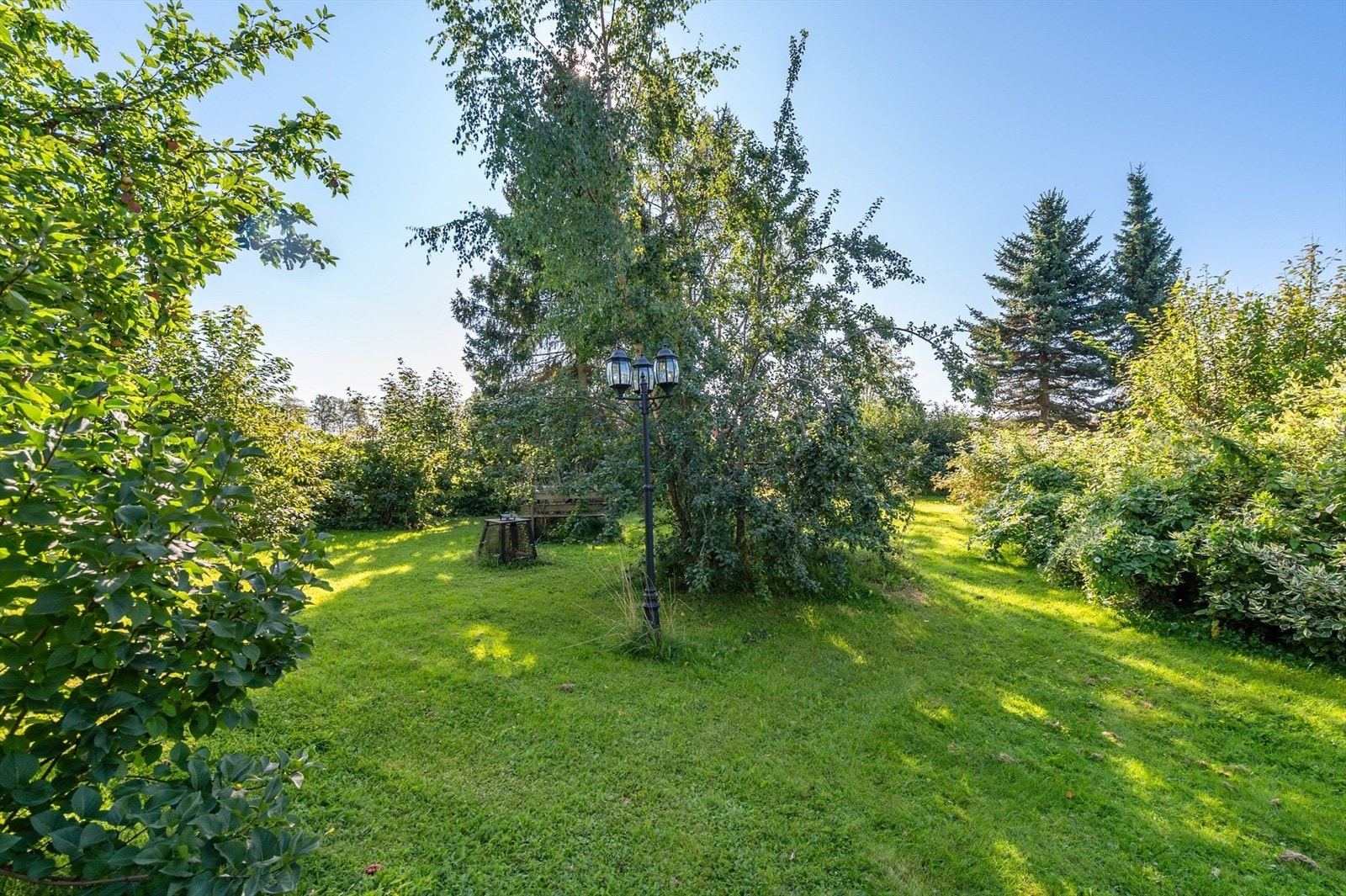 God plass for utendørsaktiviteter. Galleribilde