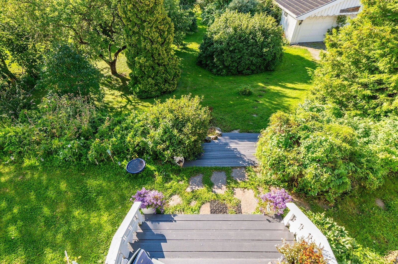 Trapp til hage. Galleribilde