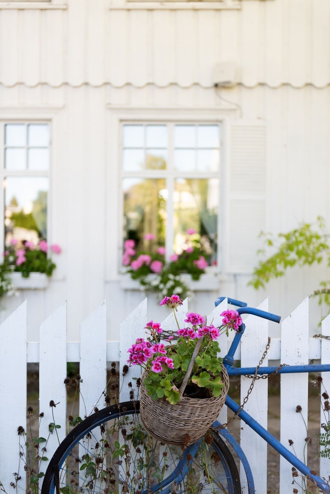 Utendørs idyll! Galleribilde