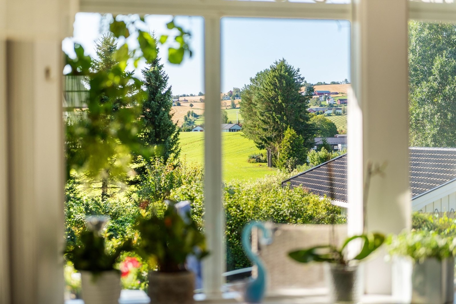 Hyggelig utsyn. Galleribilde