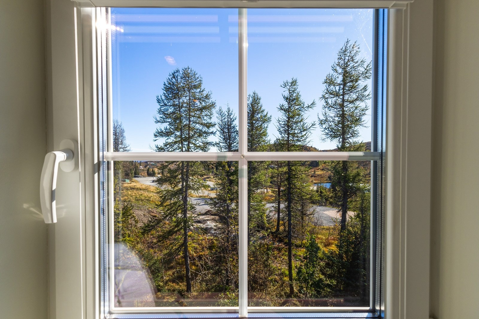 Utsikt fra alkove 2 Galleribilde