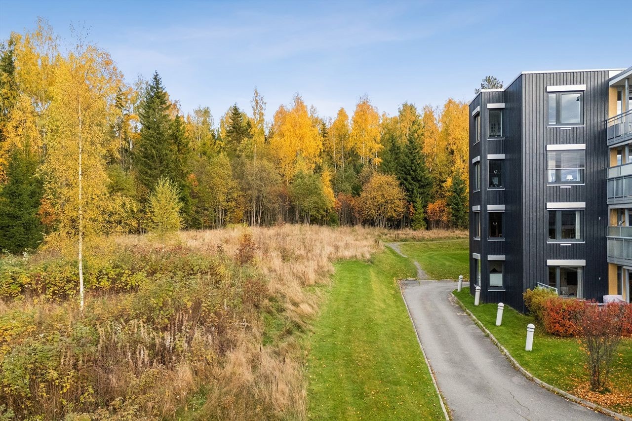 Området byr på flotte rekreasjonsmuligheter, med blant annet Klukhagan rett og Ankerskogen like i nærheten. Galleribilde