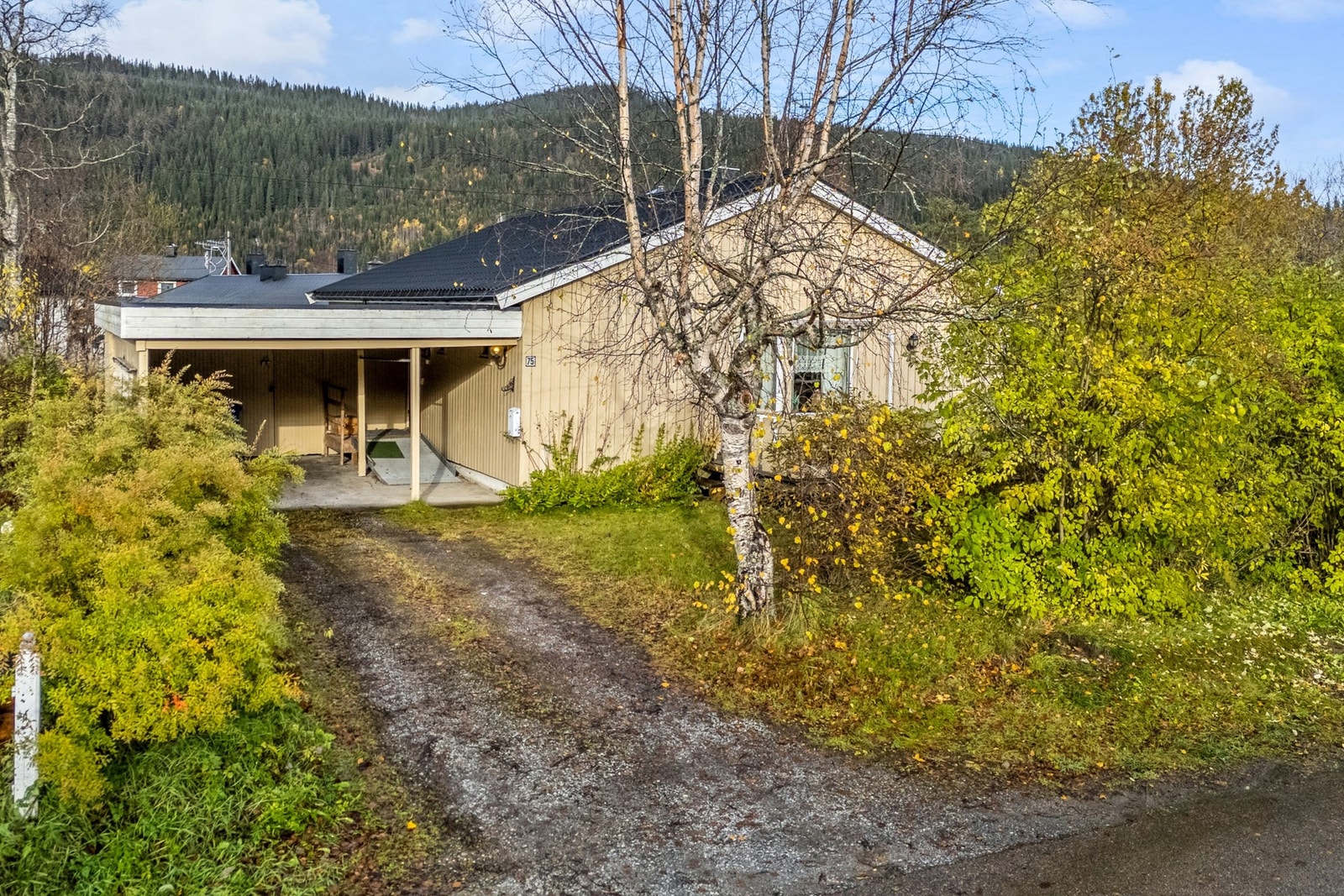 Enebolig med oppussingsbehov. 3 soverom, carport - alt på ett plan! Galleribilde