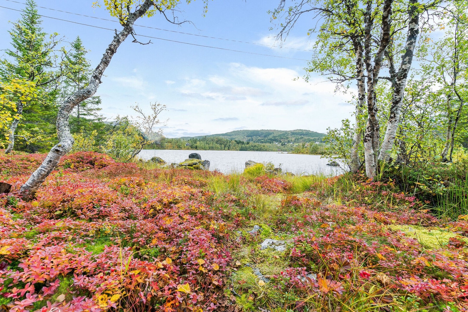 Tomta går helt fra vannet og langt opp mot fjellet Galleribilde