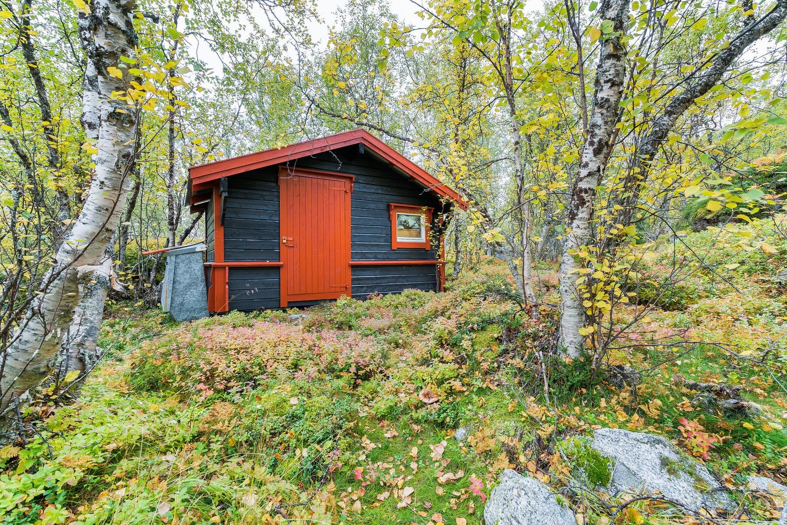 Uthus gir praktisk lagringsplass - alt du trenger for hyttelivet Galleribilde