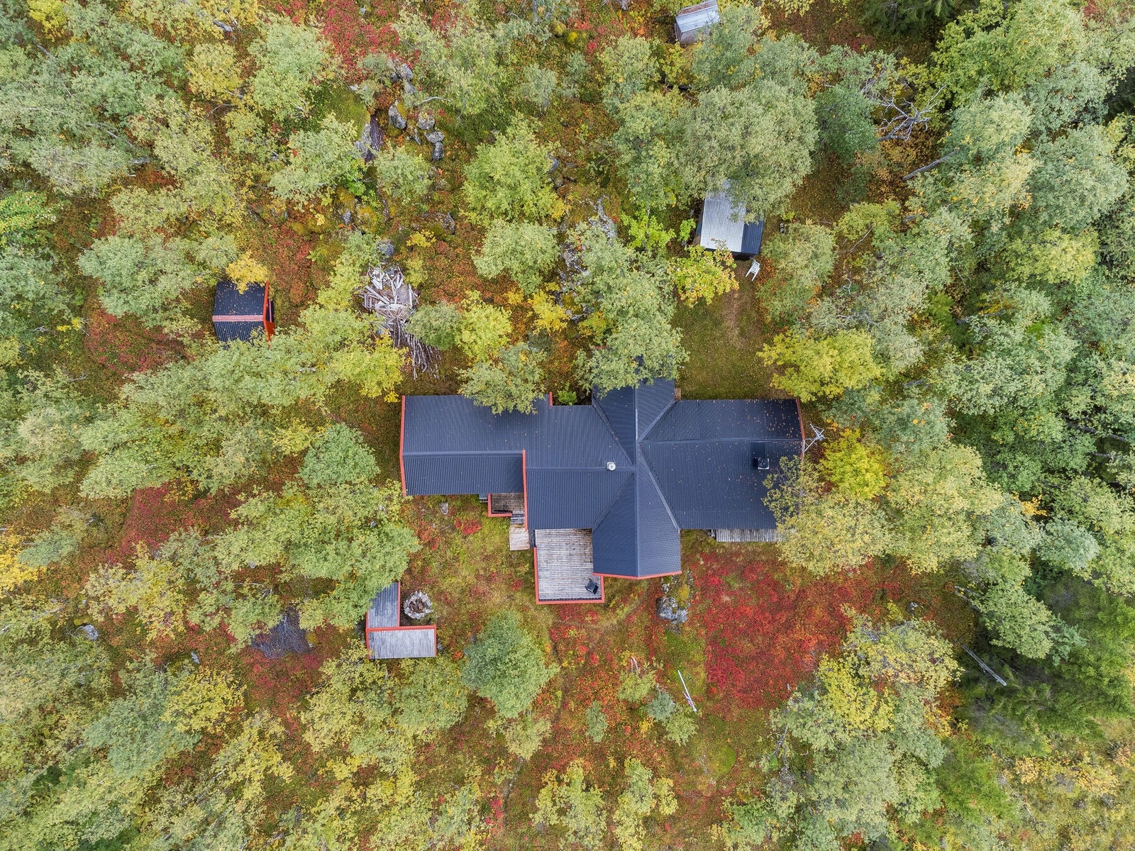 Oversiktsbilde Galleribilde