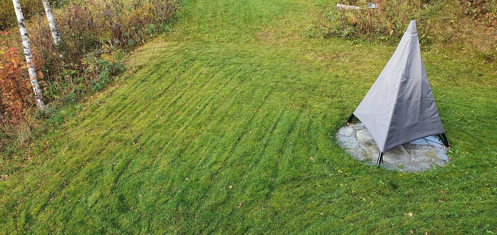 Fra bålplass i hagen Galleribilde