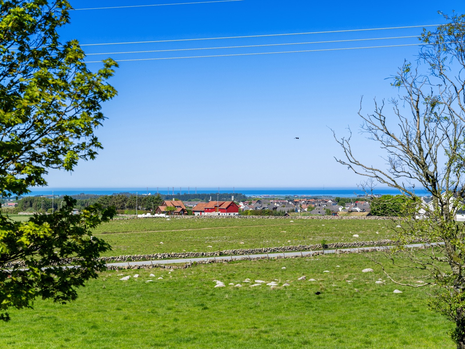Detaljbilde. Galleribilde