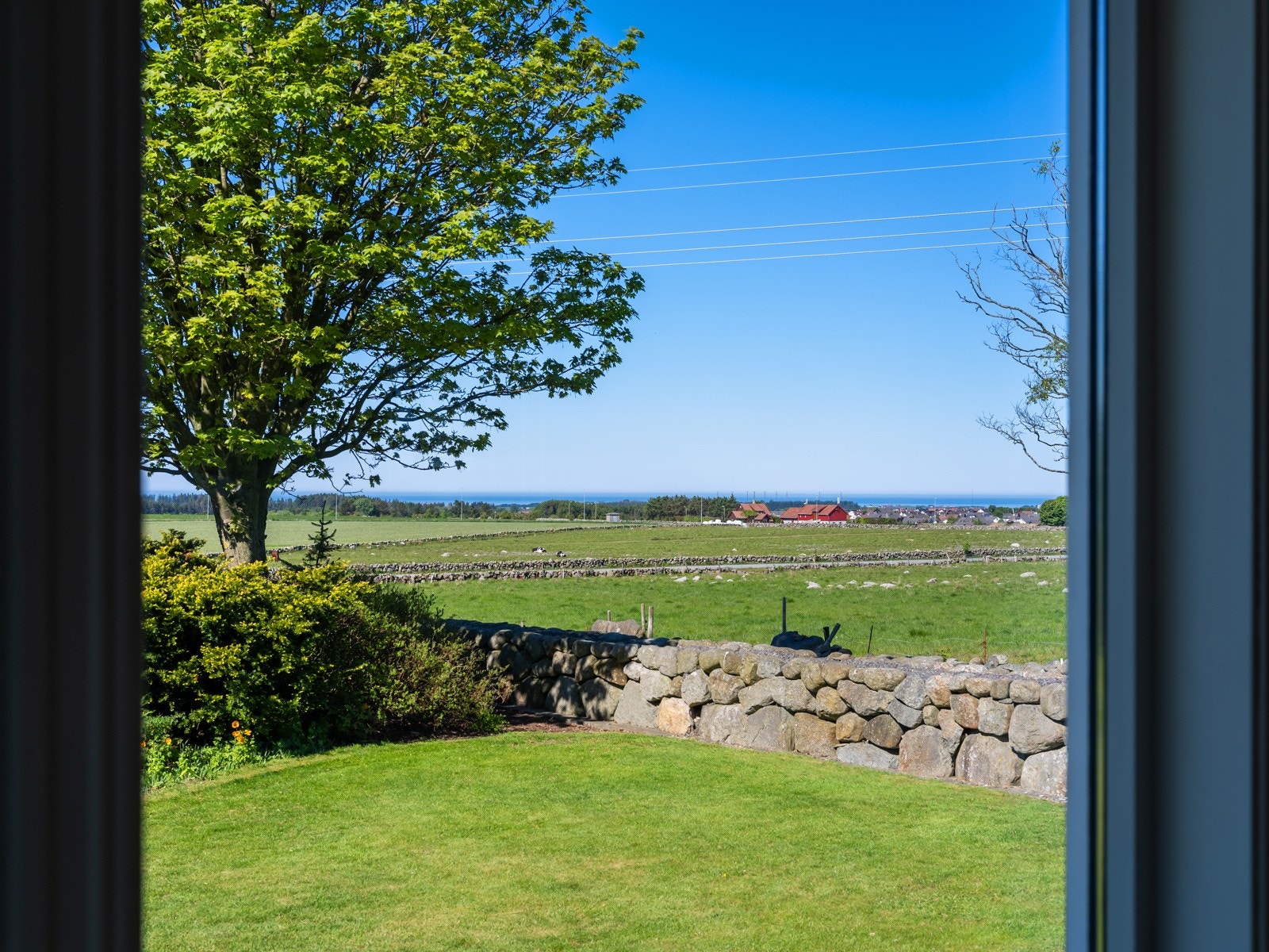 Detaljbilde. Galleribilde