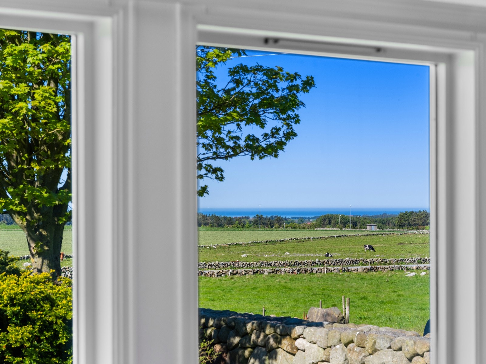 Detaljbilde. Galleribilde