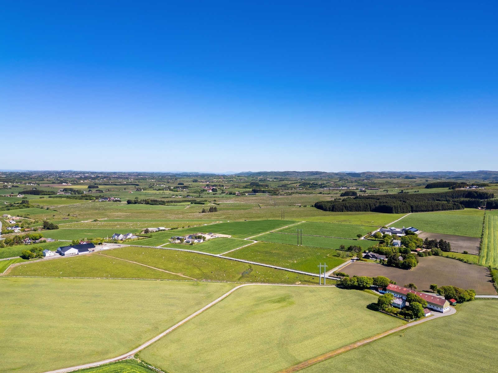 Velkommen til visning! Galleribilde