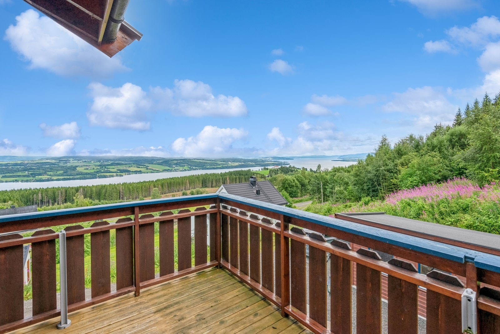 Flott utsikt. Galleribilde