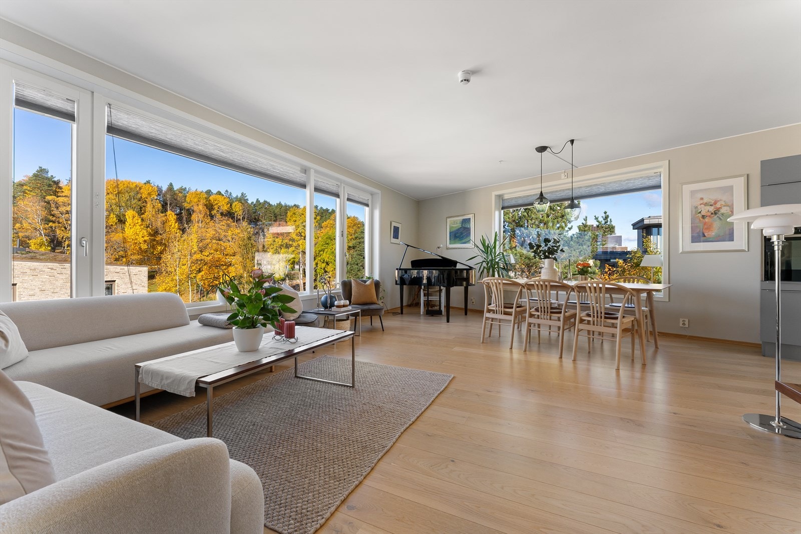 Store vindusflater som gir mye lys til leiligheten. Galleribilde