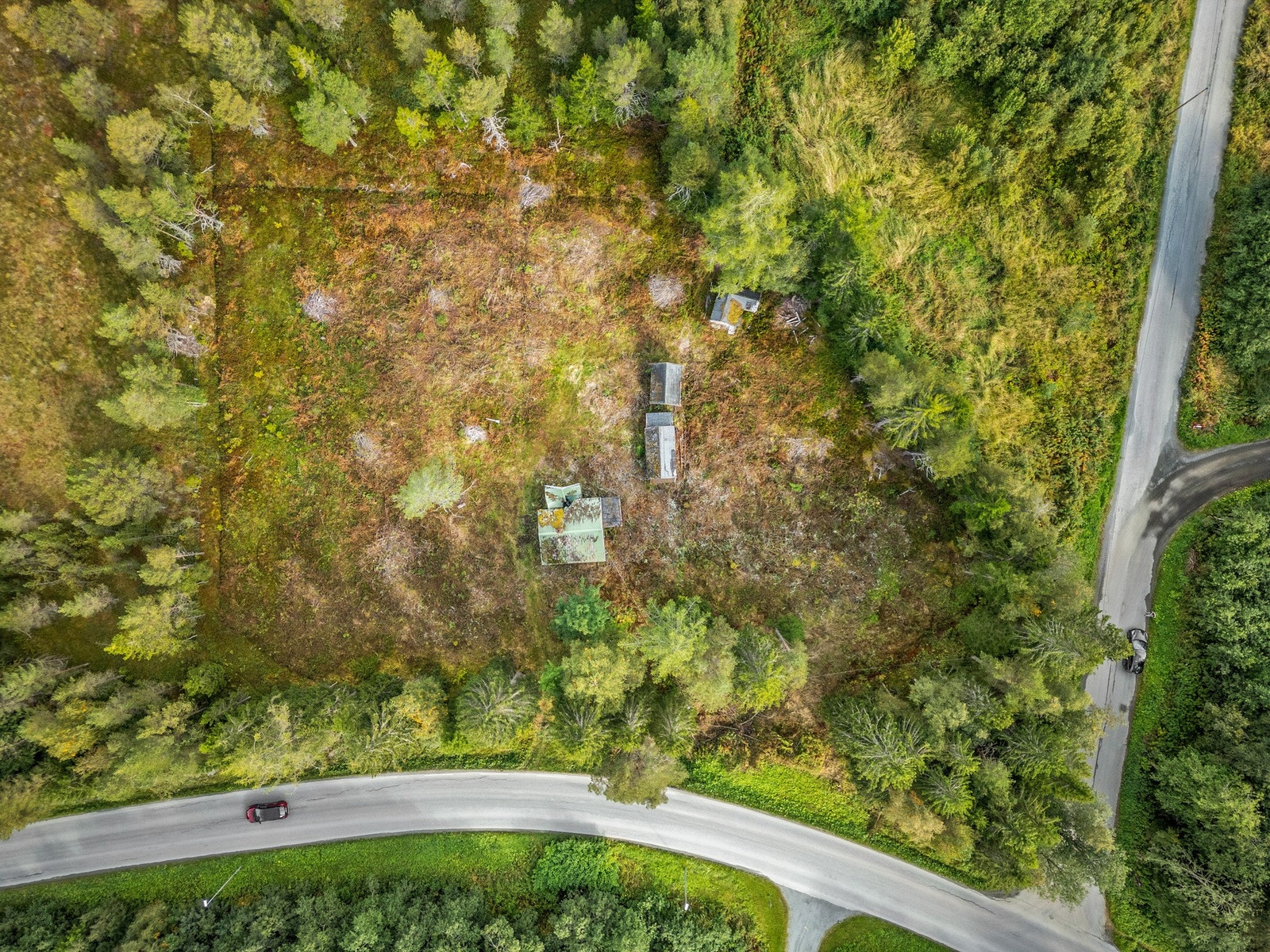 Oversiktsbilde. Galleribilde