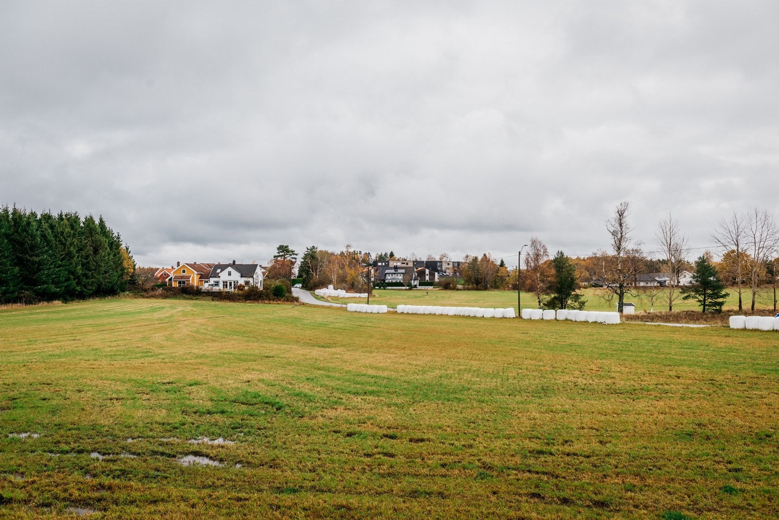 Nærområdet Galleribilde