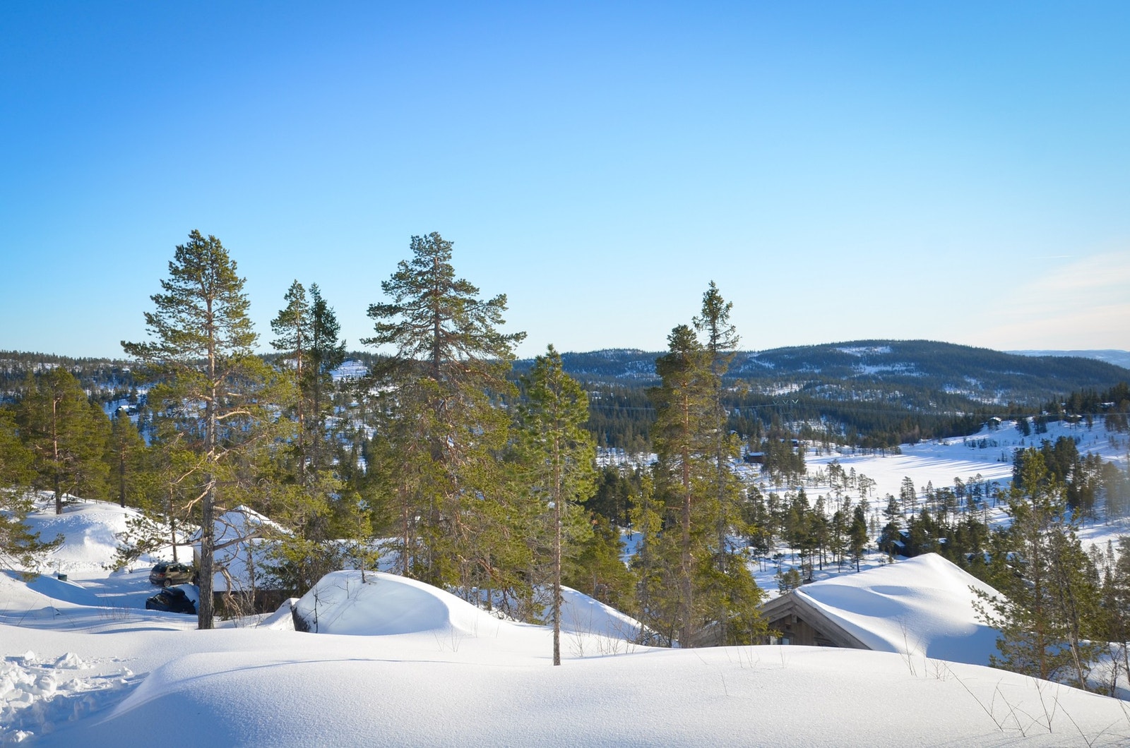 Stort løypenett for langrenn i umiddelbar nærhet. Galleribilde