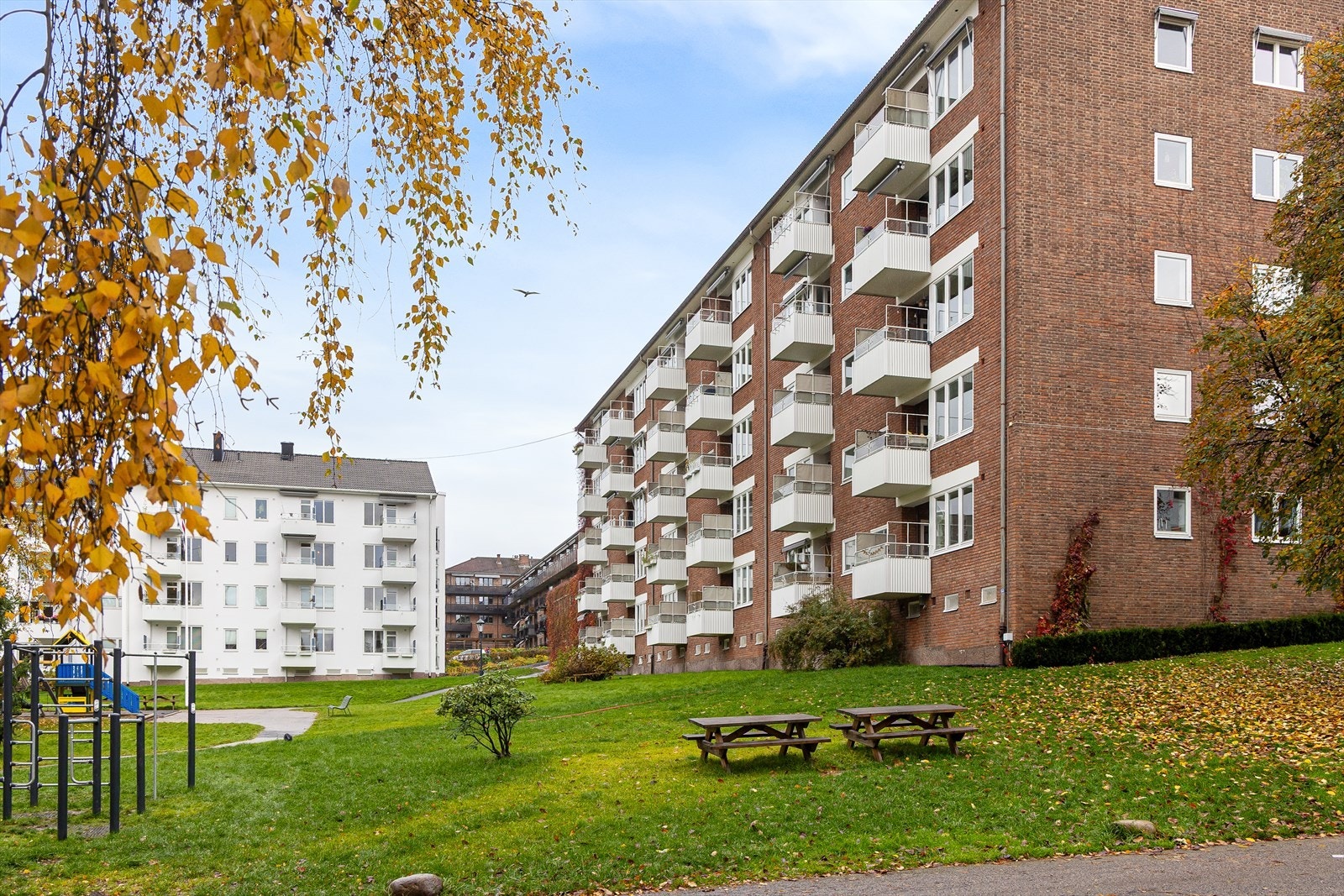 Fasade. Galleribilde