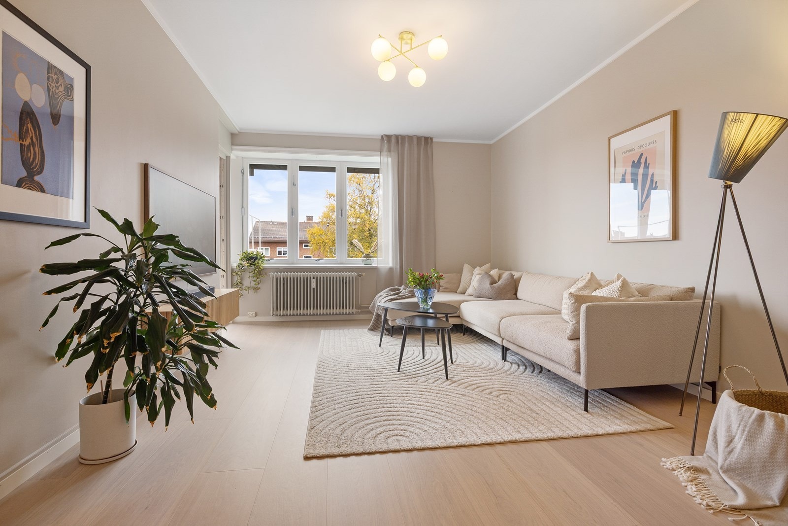 Kristoffer Mjåtveit har gleden av å presentere Ola Narr 18. Galleribilde