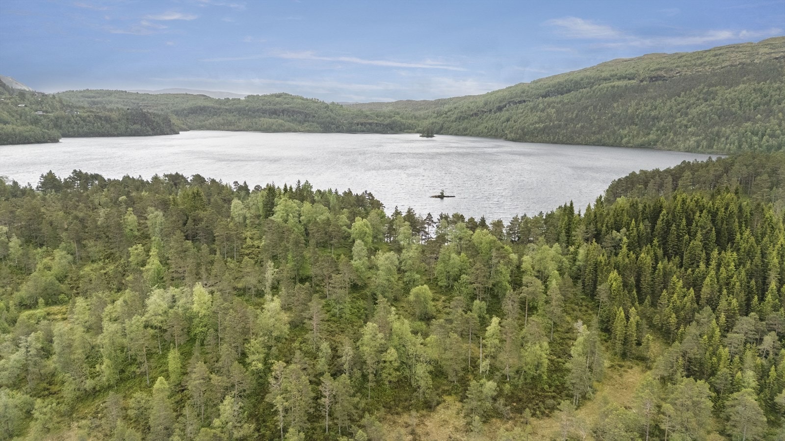 Her føl og fiskerett i Markhusvatnet. Galleribilde