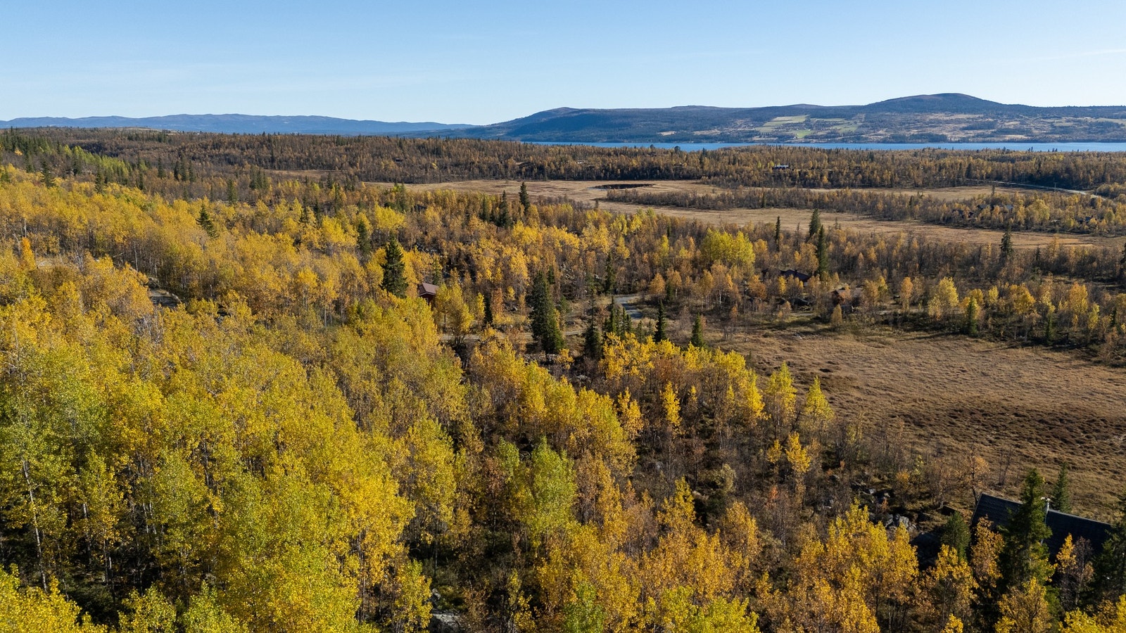 Vinteren byr på fine skiløyper - og vil man stå alpint så er det en kjøretur unna til Skiheiser Galleribilde