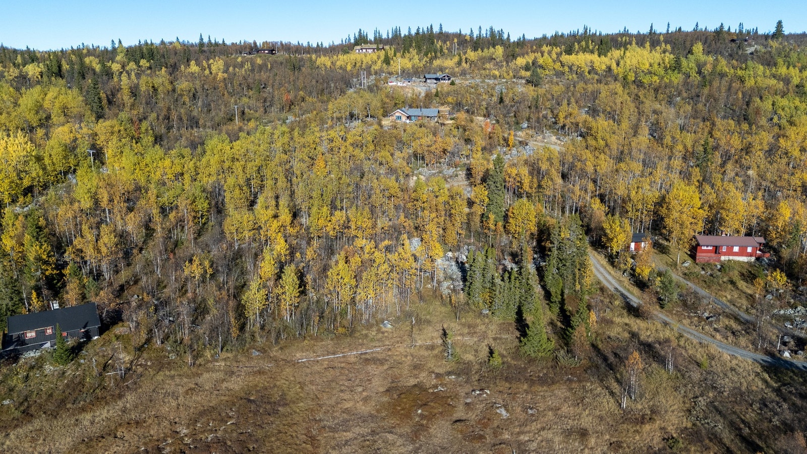 Sommerstid er det beitedyr i område Galleribilde